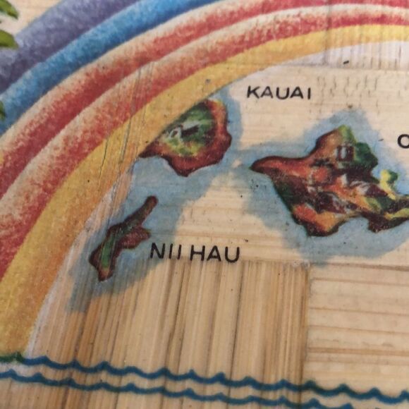 Hawaiian 🌺 Islands 🏝 Handpainted Palm 🌴 Frond Plate 70s vibrant retro vibe - Picture 11 of 17